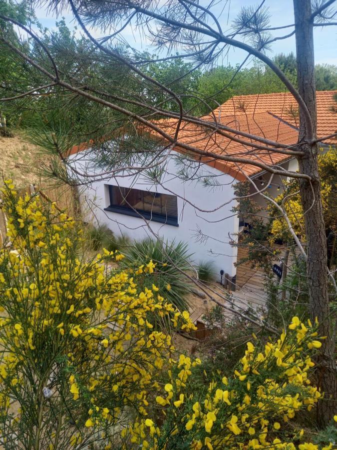Cot'& Dune - Lodge D'Hote & Spa De Nage Saint-Augustin  Exteriör bild